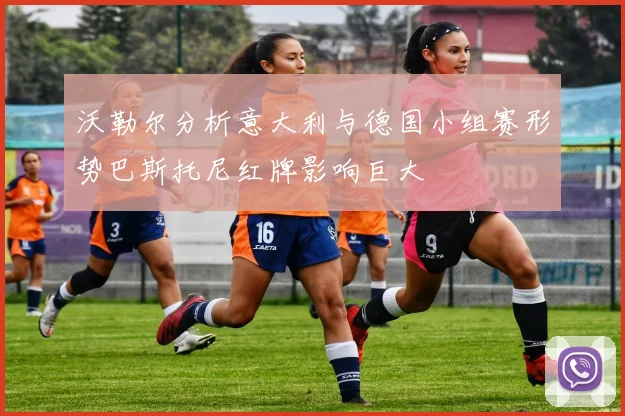沃勒尔分析意大利与德国小组赛形势巴斯托尼红牌影响巨大